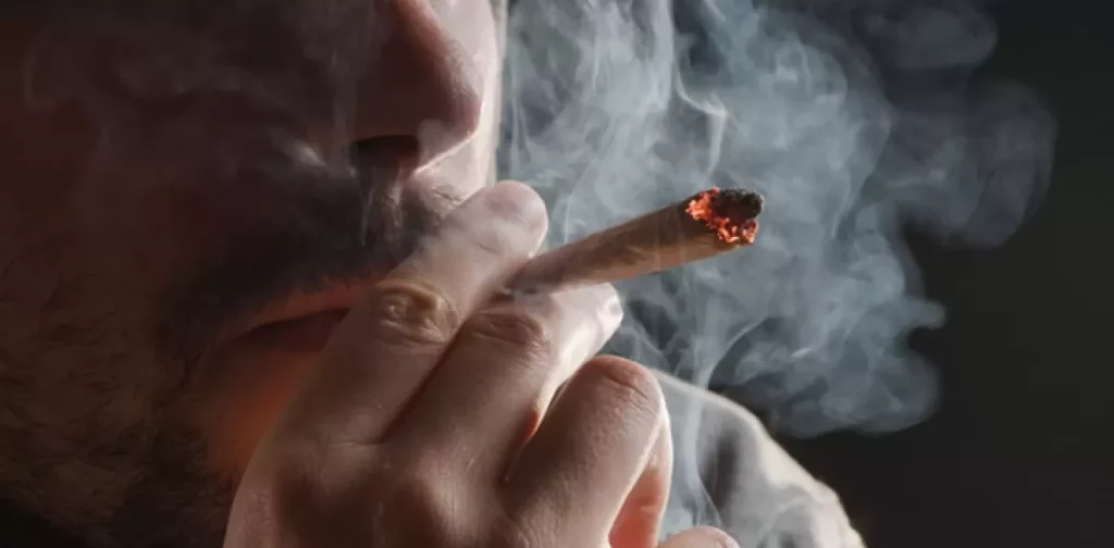 O Que São Cannabinoides 5 965af2786073185946649de000058ed1