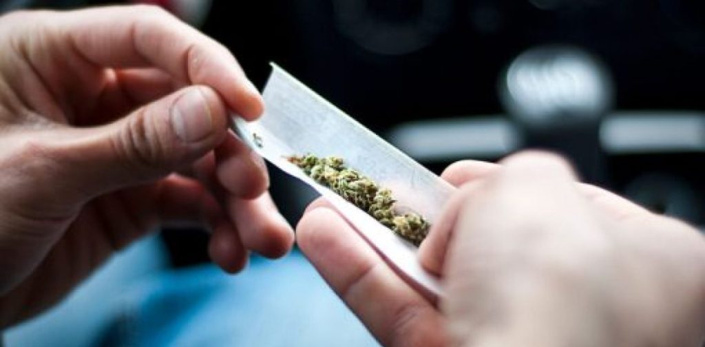 Tudo sobre maconha: a porta de entrada para o mundo das drogas 10 bbeda44265eeb2e4722a6567c3d89068